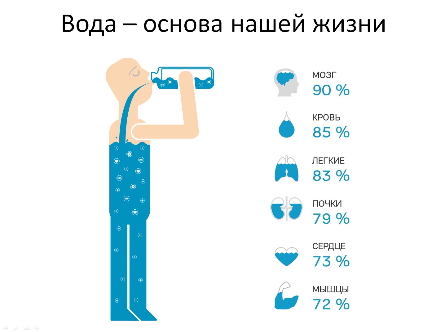 Реферат: Жизнь человека 2